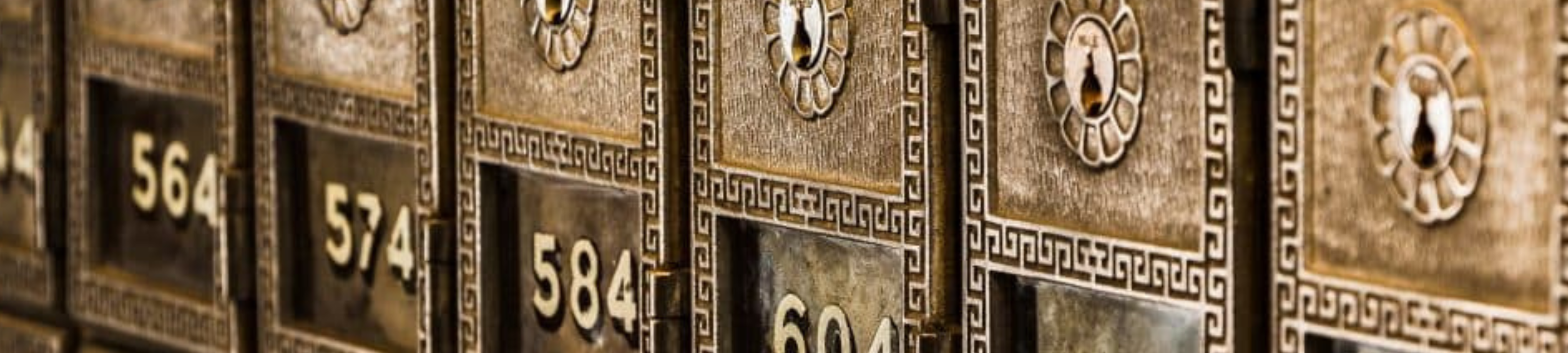 Suzannah Mikulski cover