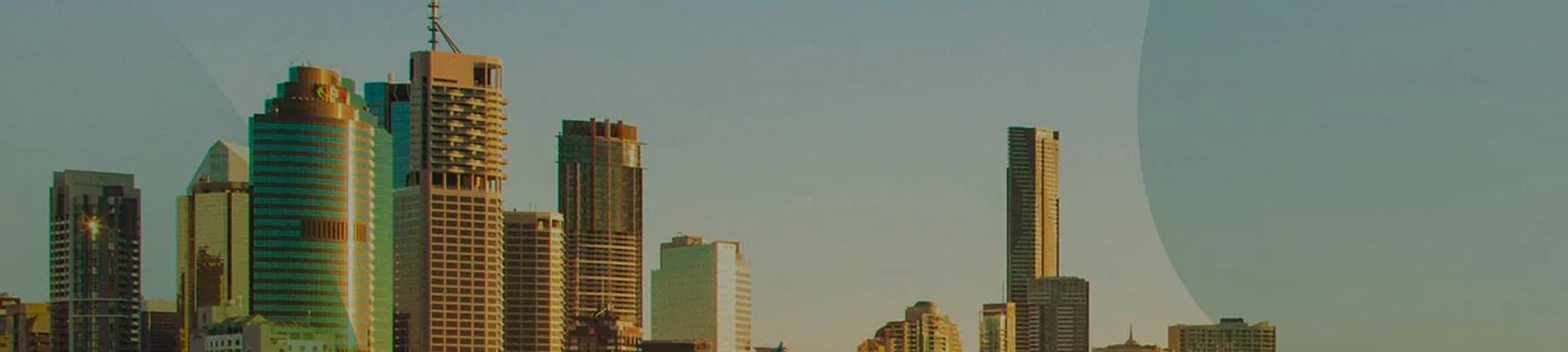 The Franchise & Business Lawyers cover
