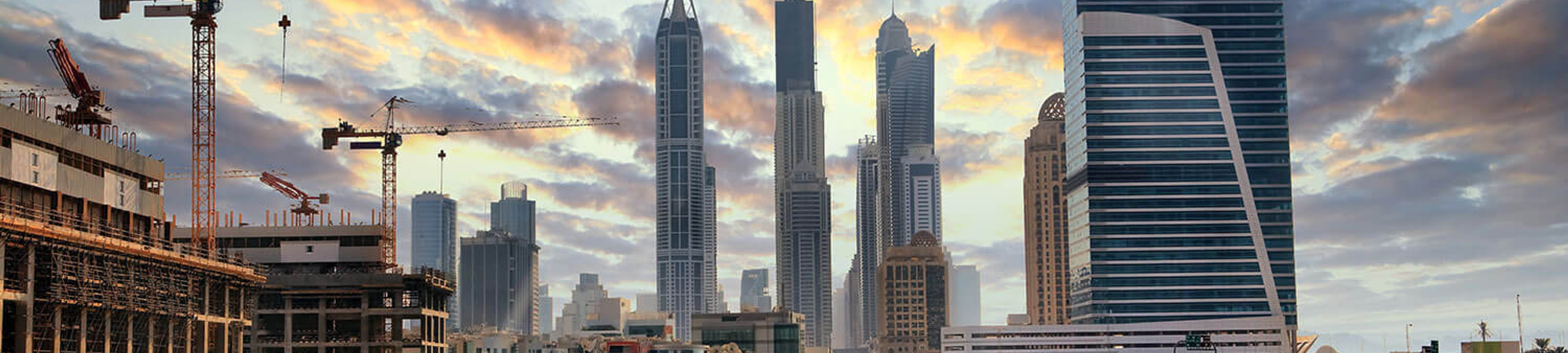 Harrington Lawyers cover