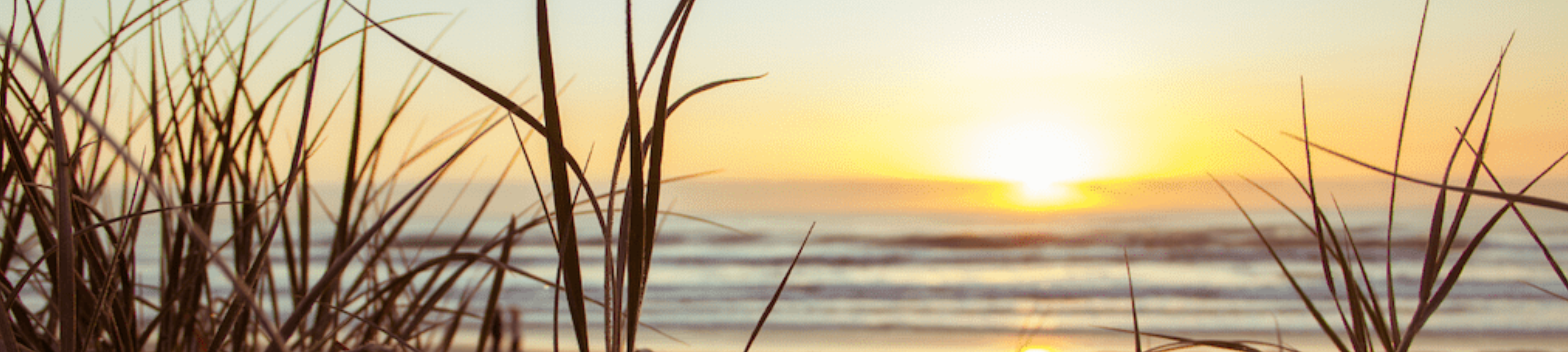 Kathryn Hodges cover