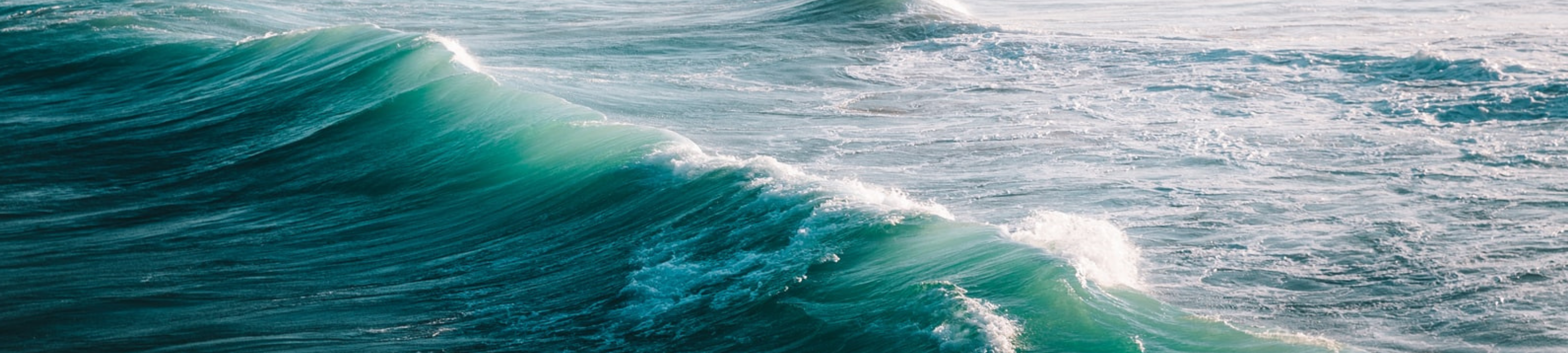 Jennifer Brewer Property & Commercial Lawyer cover