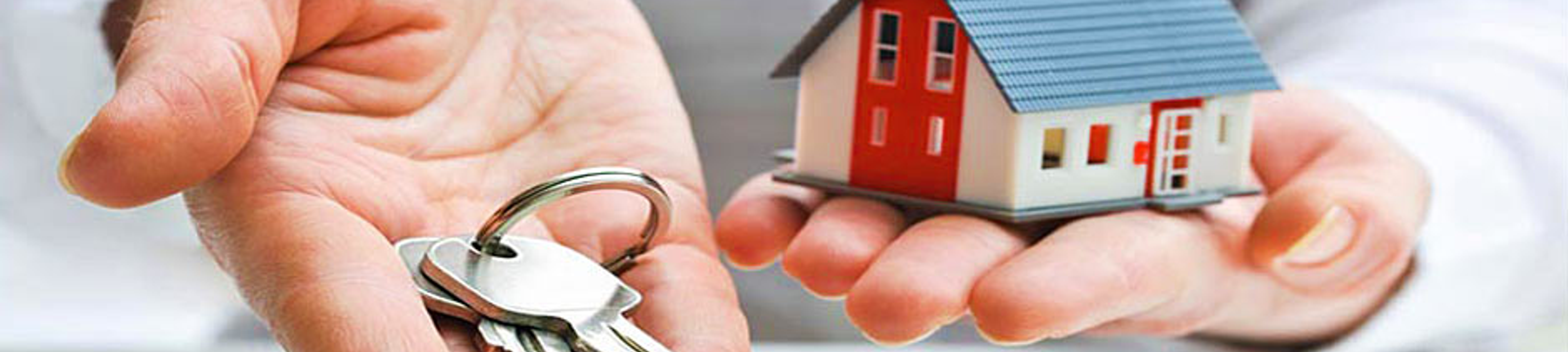 Wendy McLay Conveyancing & Legal cover