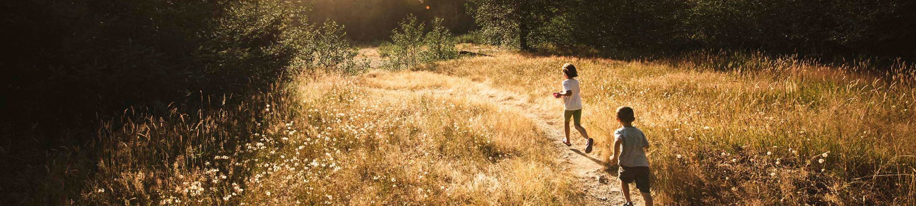 MGA Law Family Lawyers cover