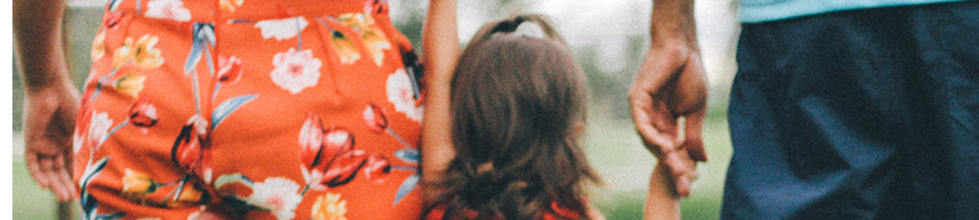 Fair Family Law cover