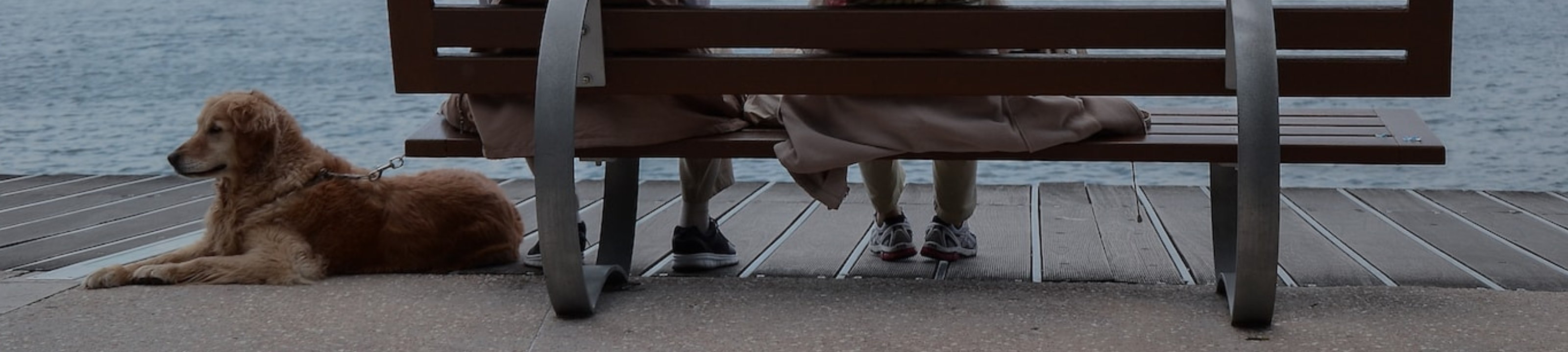 Galea & Faustin Solicitors cover