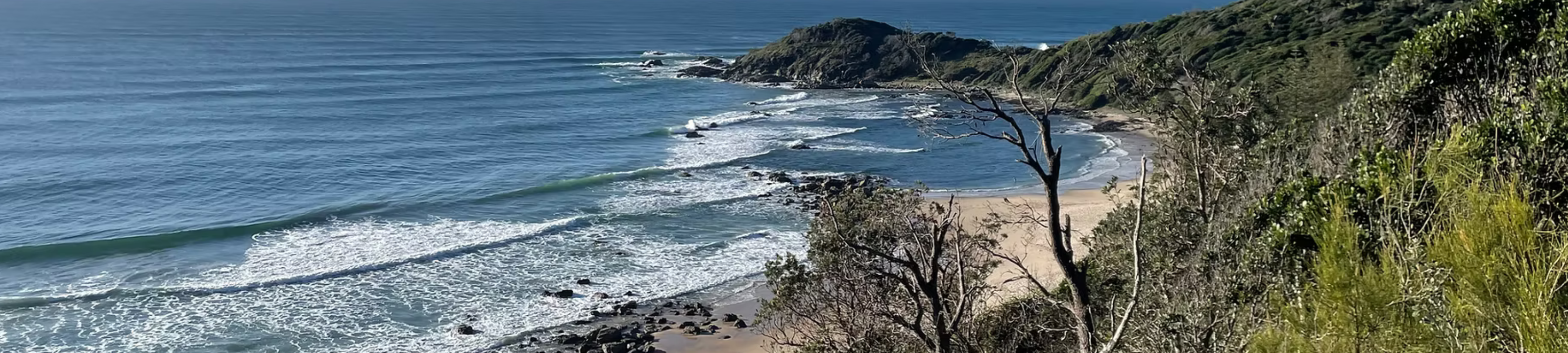 Richard Morris cover