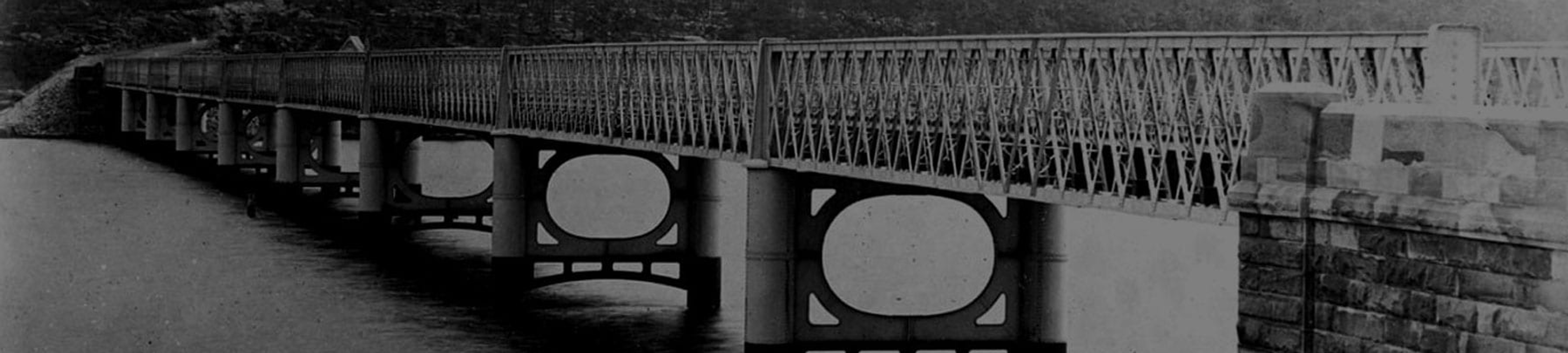 Iron Cove Law cover