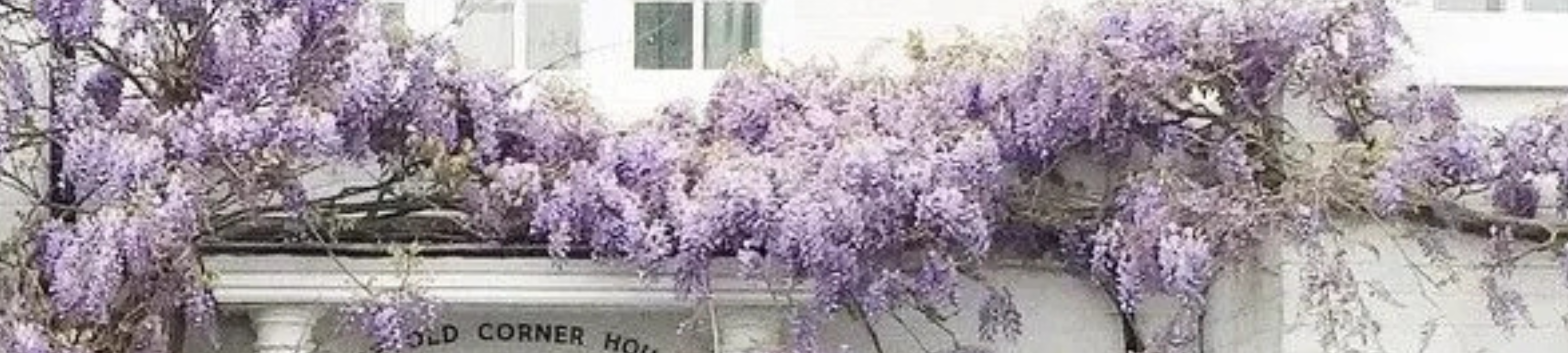 Sonia Hadjifotis cover