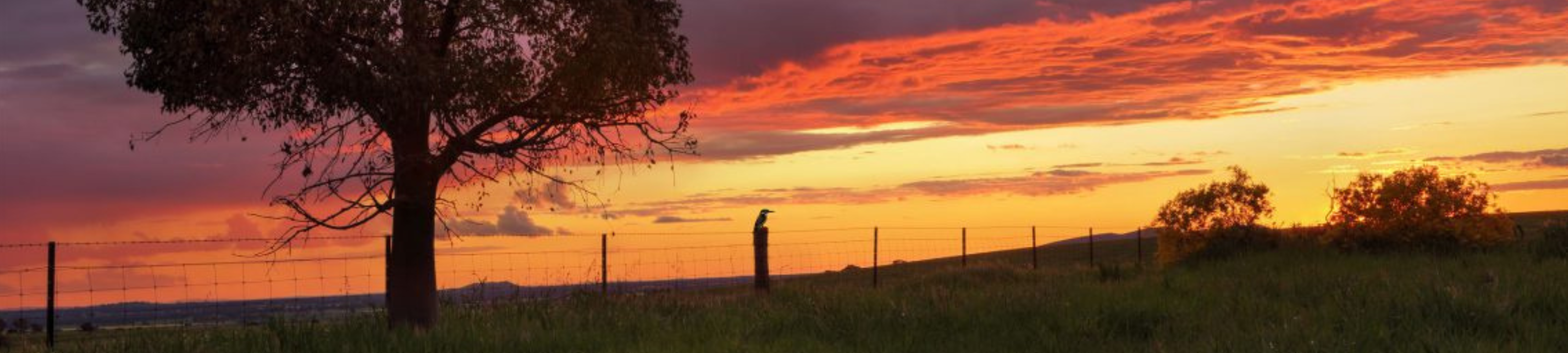 Kylie Anderson cover