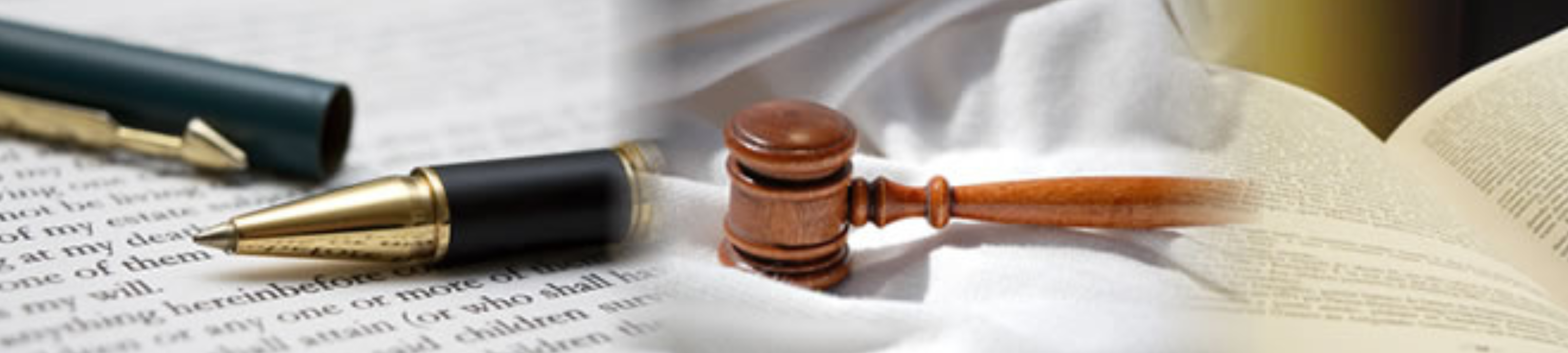 Megan McCormick cover