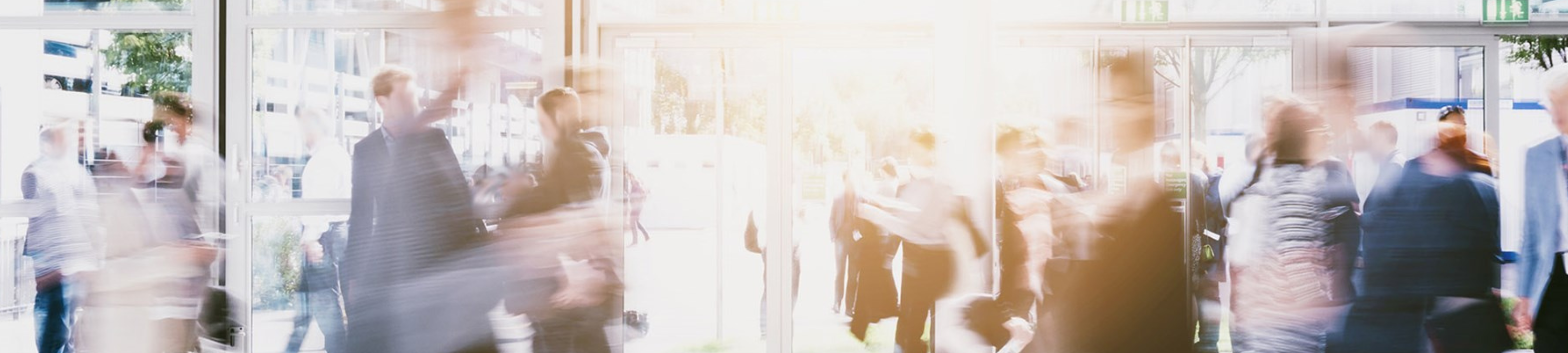 Hall Payne Lawyers cover