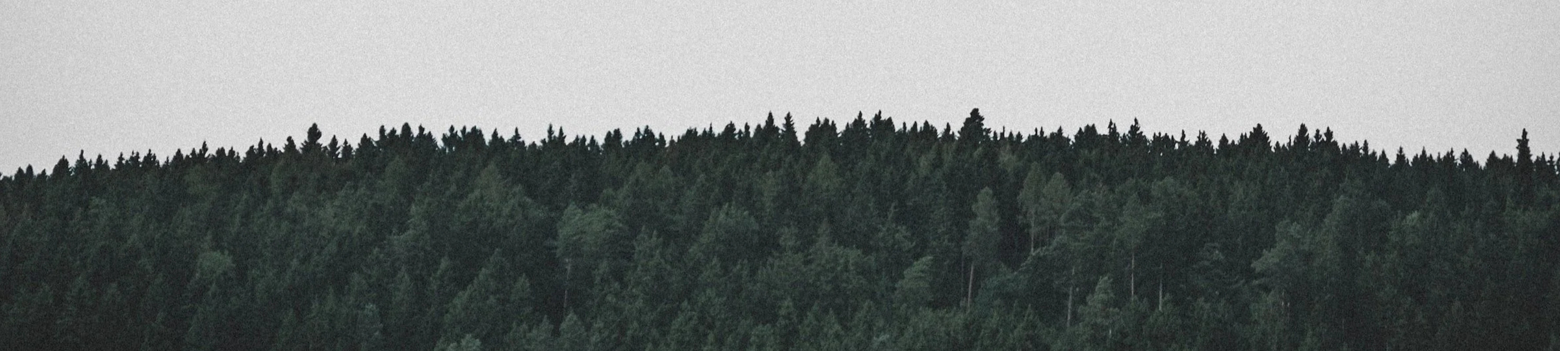 Jessica Martin cover