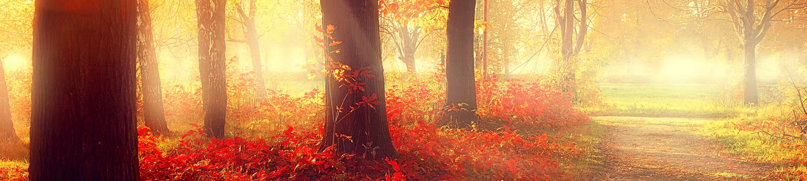 Jacquilyn Ashbolt cover