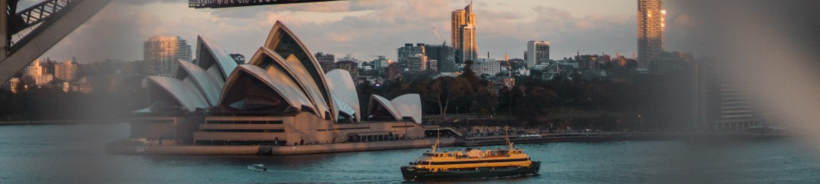 Mack Lions Lawyers cover