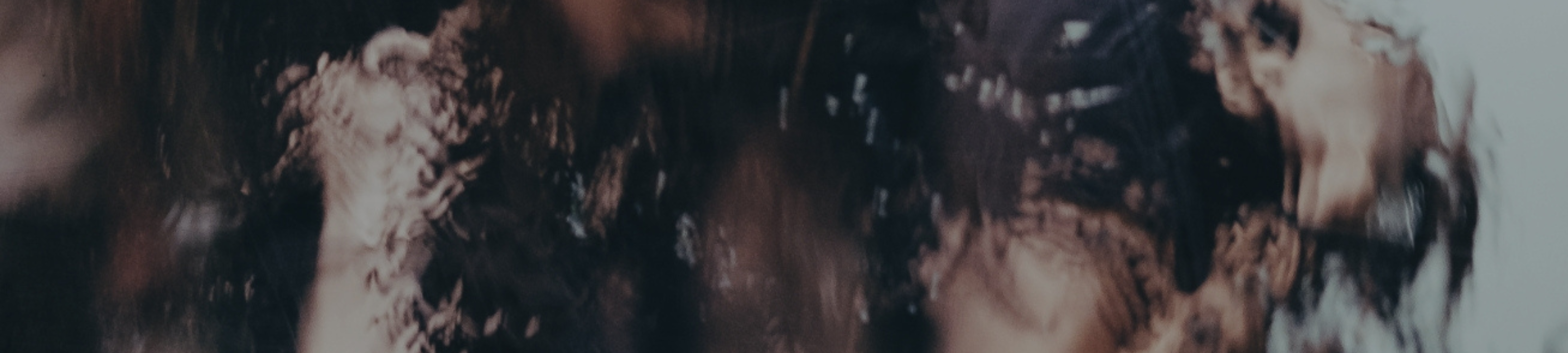 Laurier Lawyers cover