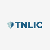 TN Lawyers & Immigration Consultants