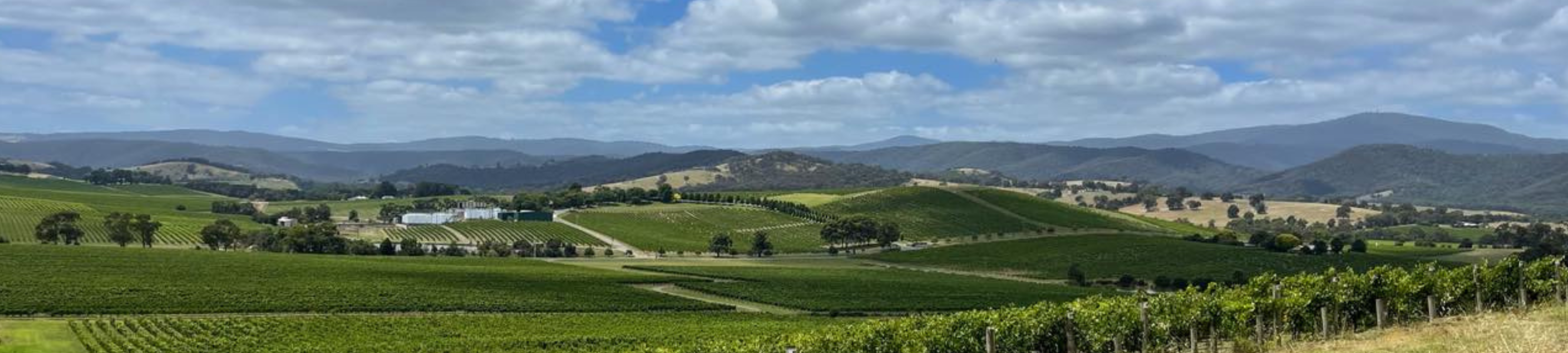 Yarra Valley Legal cover