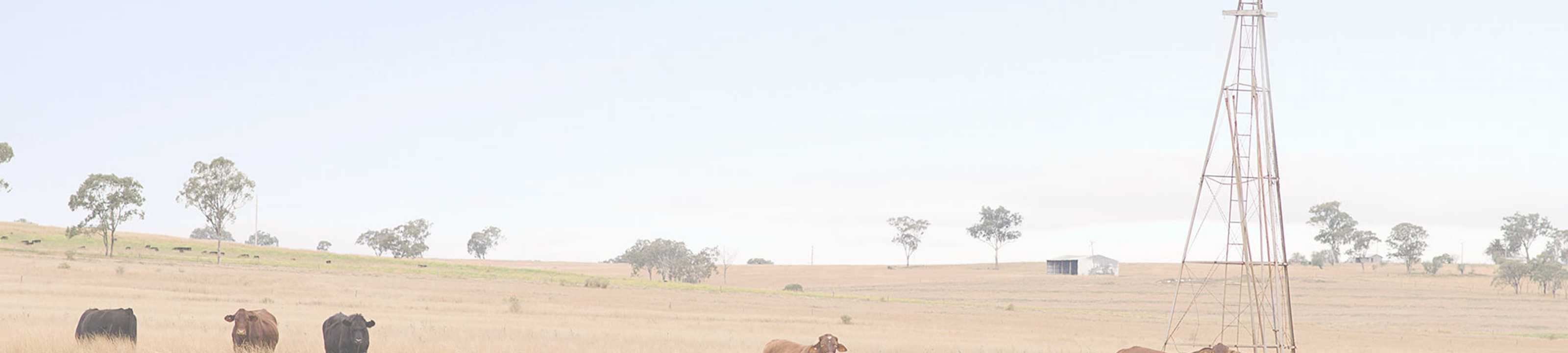 Rebecca Lancaster cover