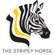 Sales Director