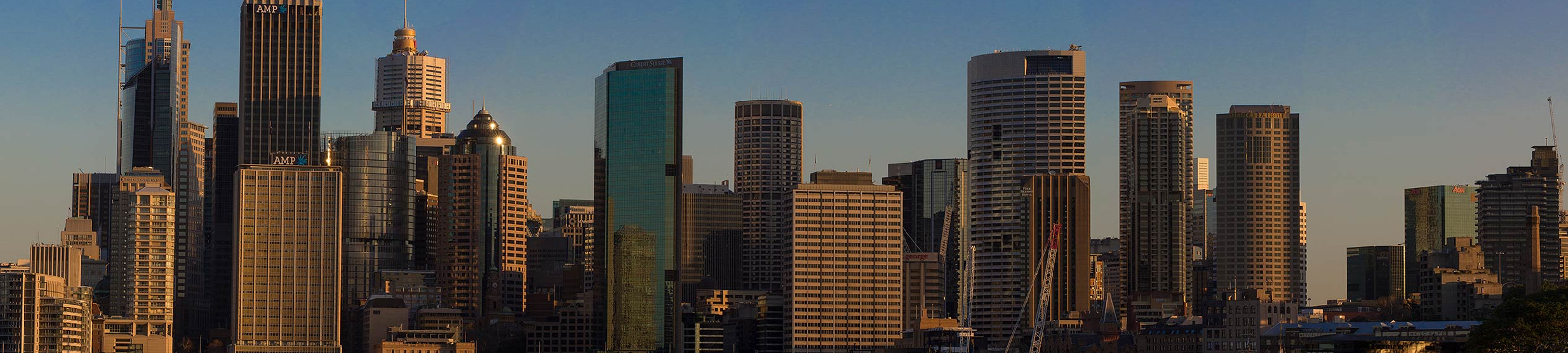 Crisp Law cover