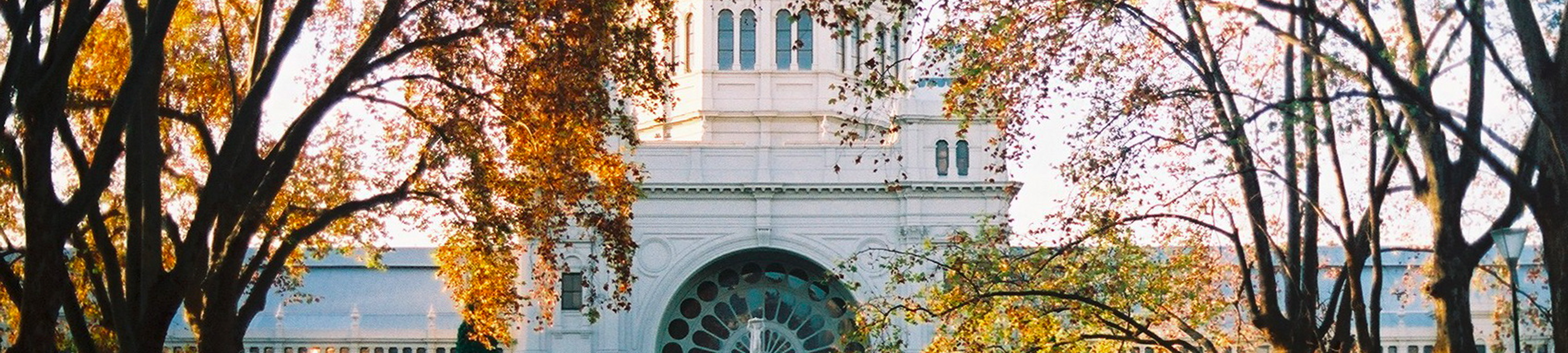 Lyndal Turner Guy cover