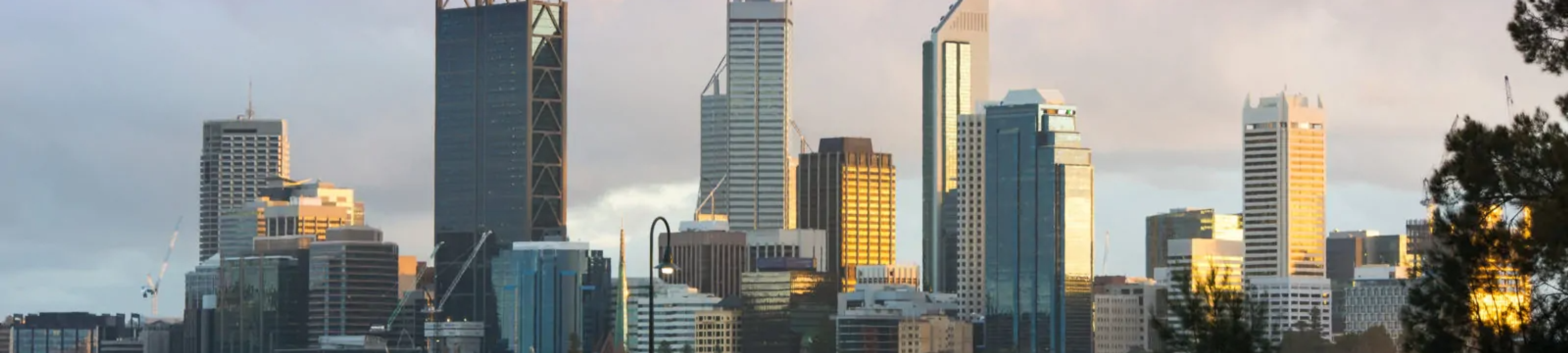 Visa Avis Pty Ltd cover