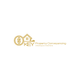 Licensed Conveyancer
