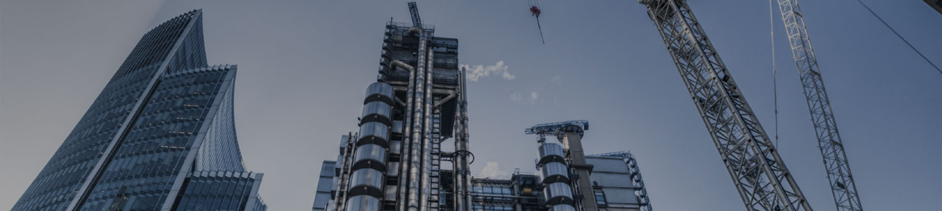 King Kong Labour Hire cover