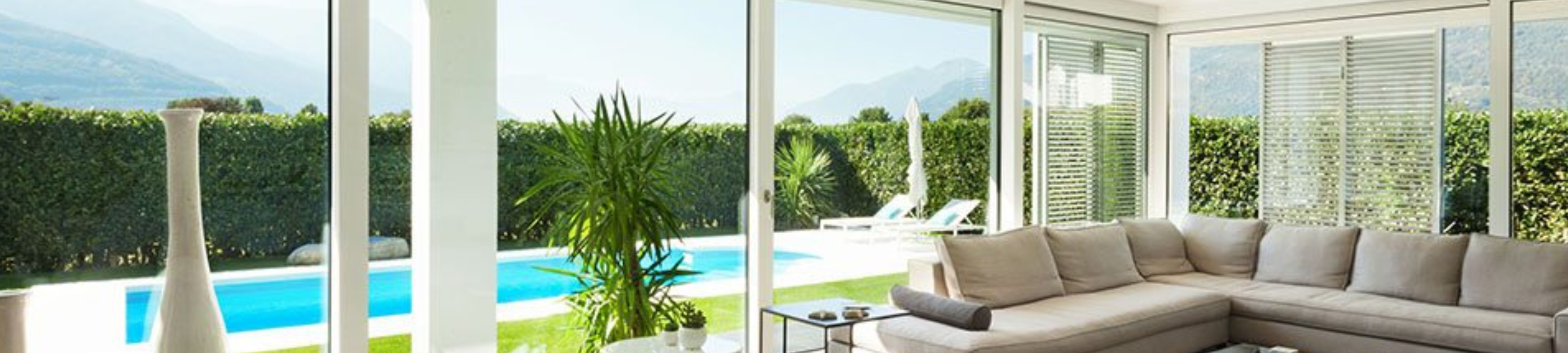 Andrew Ellison cover