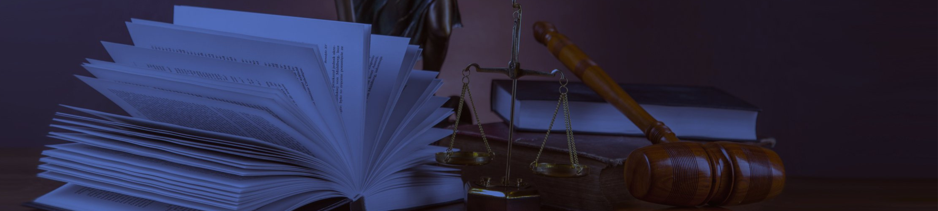 Barbara Murphy cover