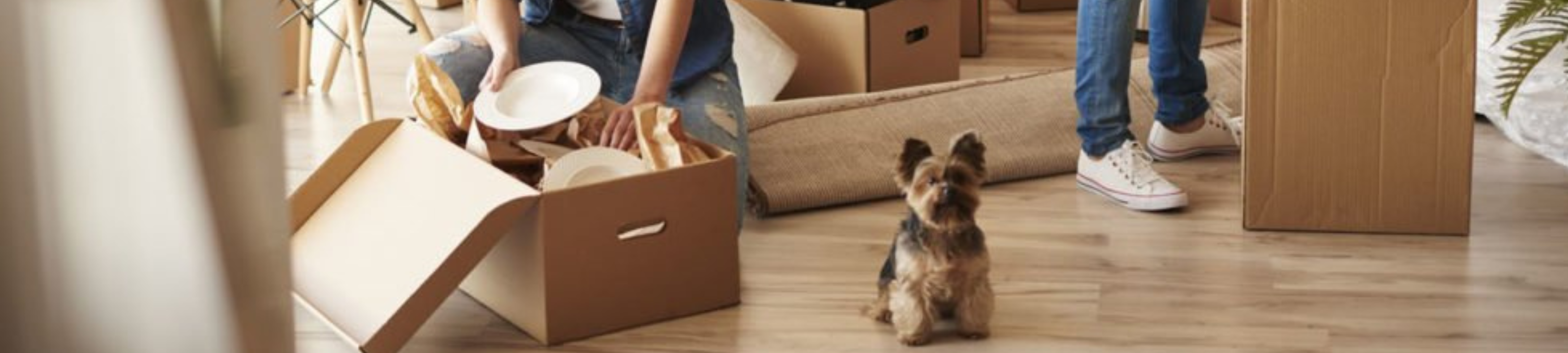 Christine Bray-Smith cover