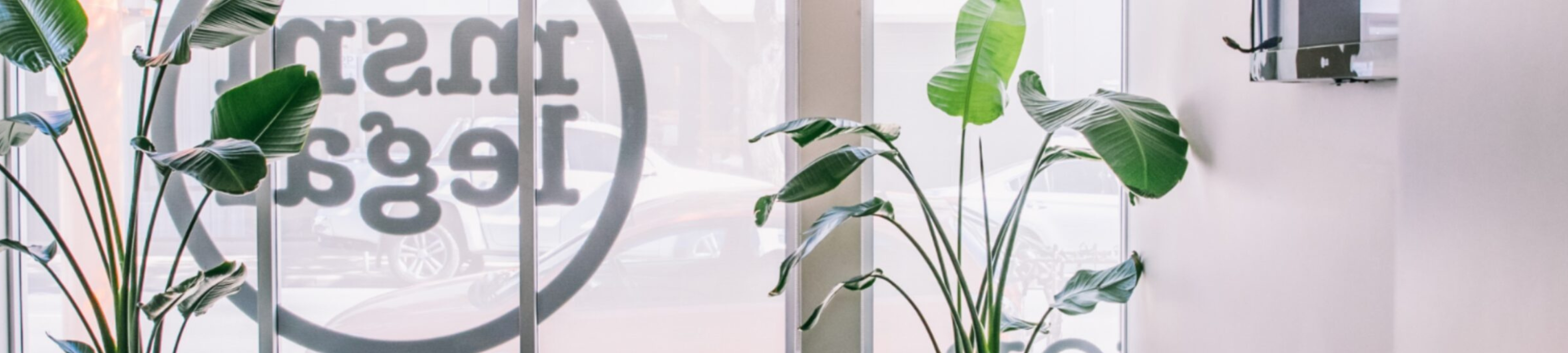 Cassandra Newsham cover