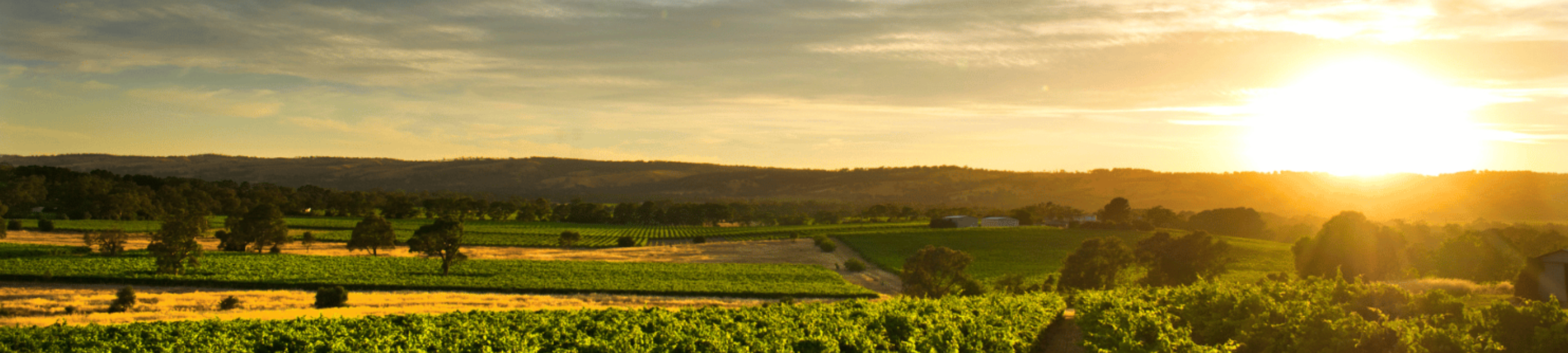 Sonika  Stoltz cover