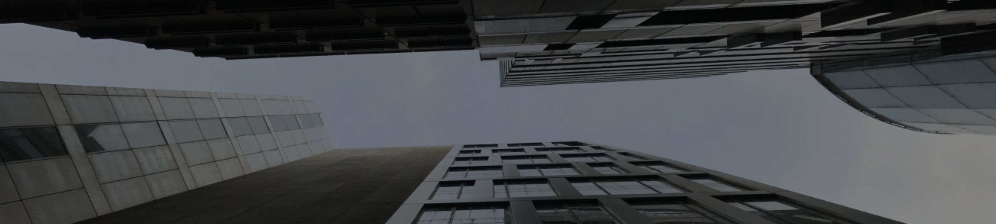 Chloe Sauermann cover