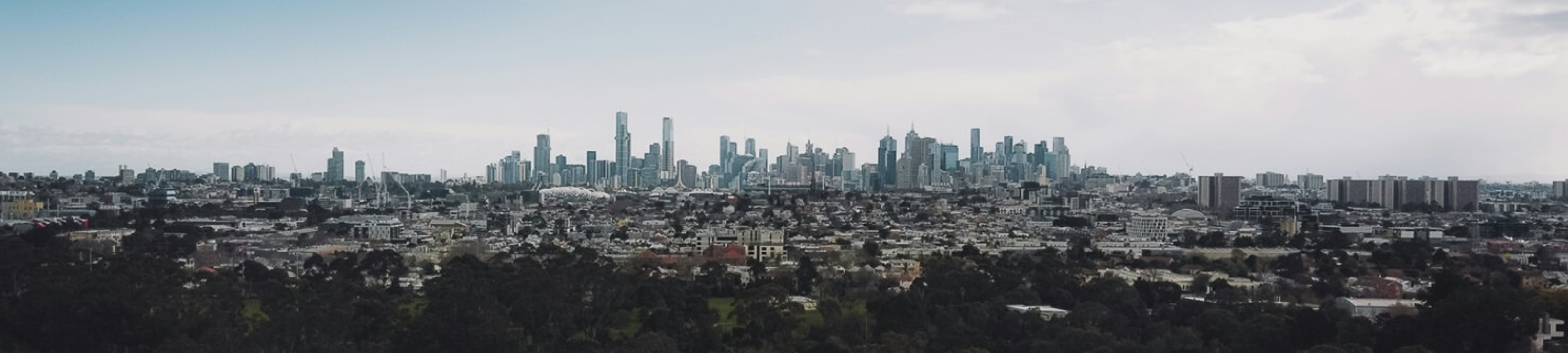 Avesta Lawyers cover