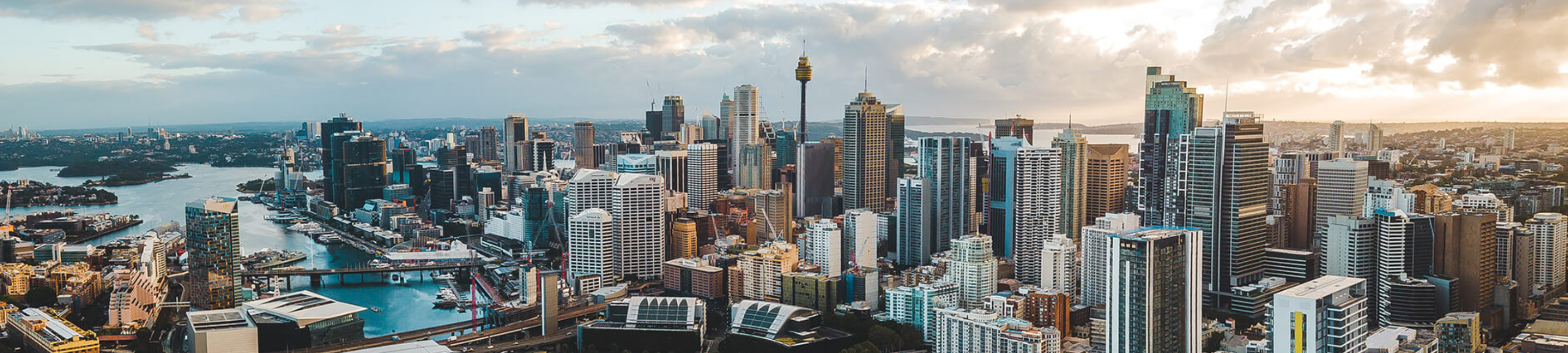 Thomas Henry Bray Lawyer cover