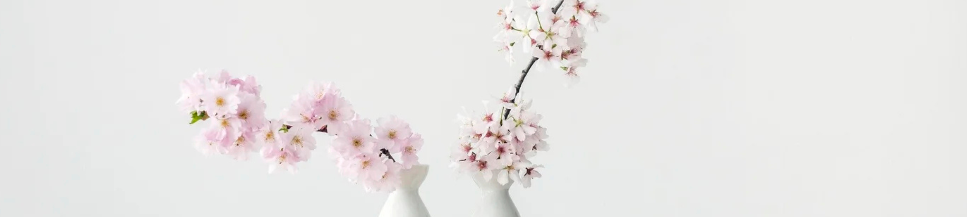 EJS Law Pty Ltd cover