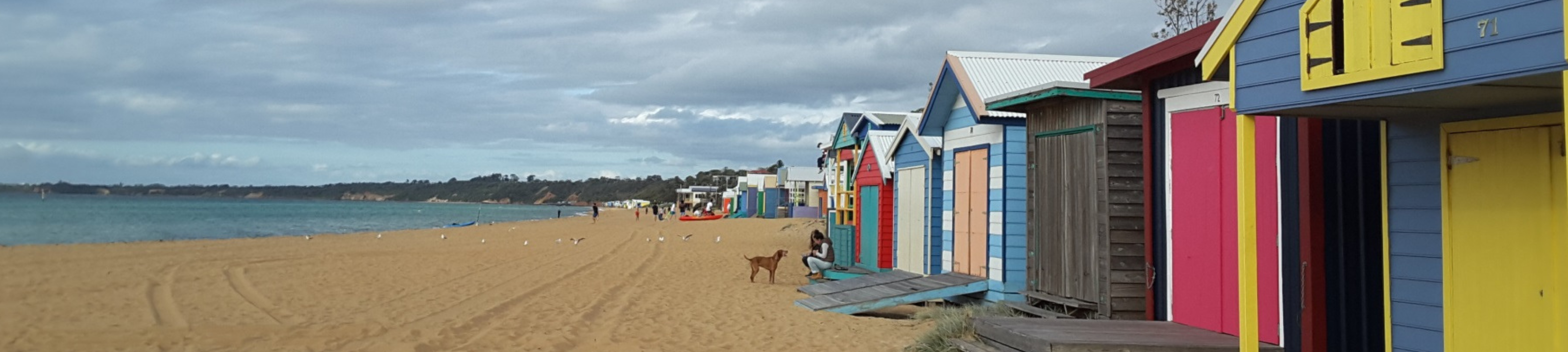 Michael Morehead cover