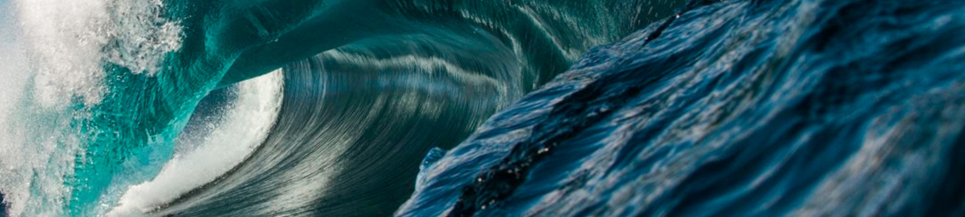 Jonathon Hozack cover