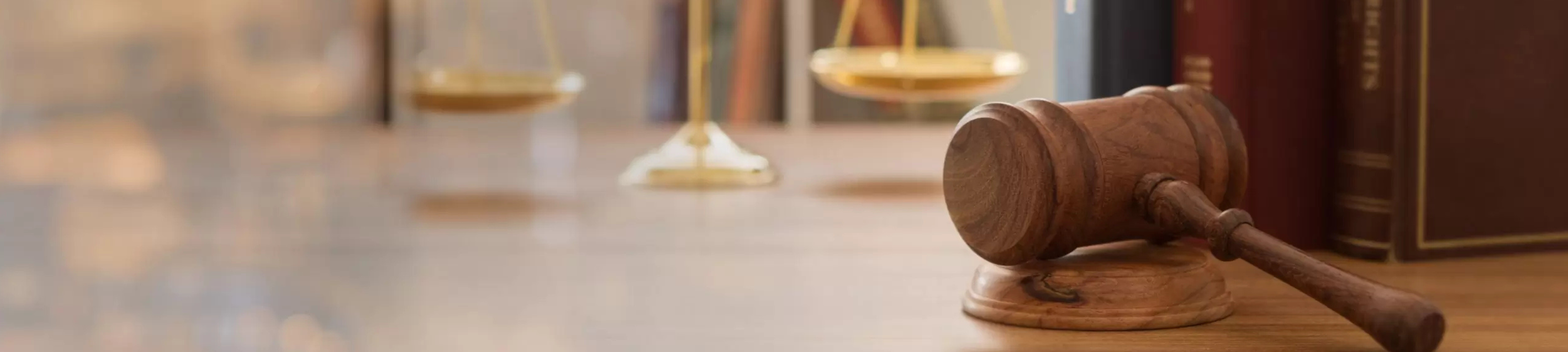 The Martin Law Establishment Pty Ltd cover