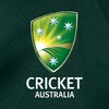 Consultant, Big Bash League Establishment Team