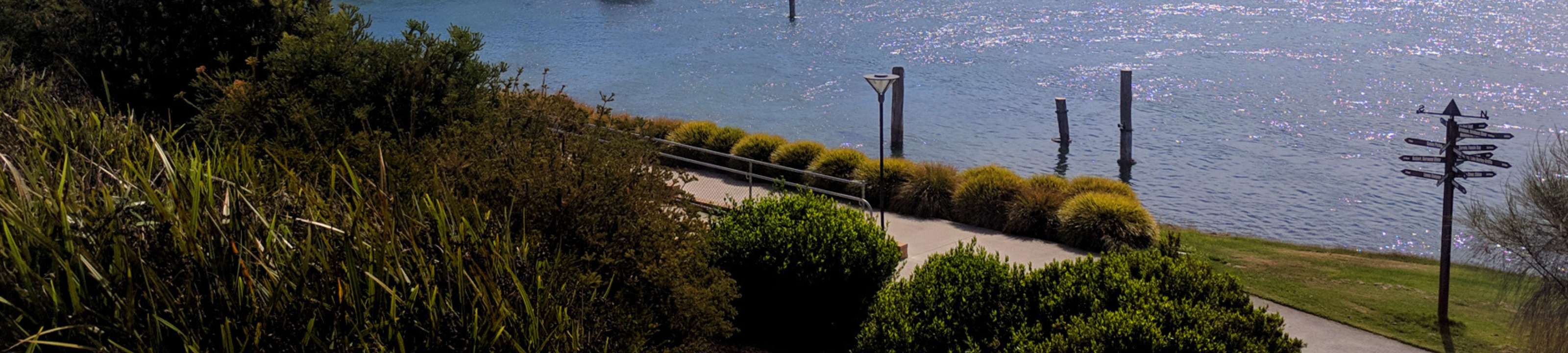 Glynn Williams cover