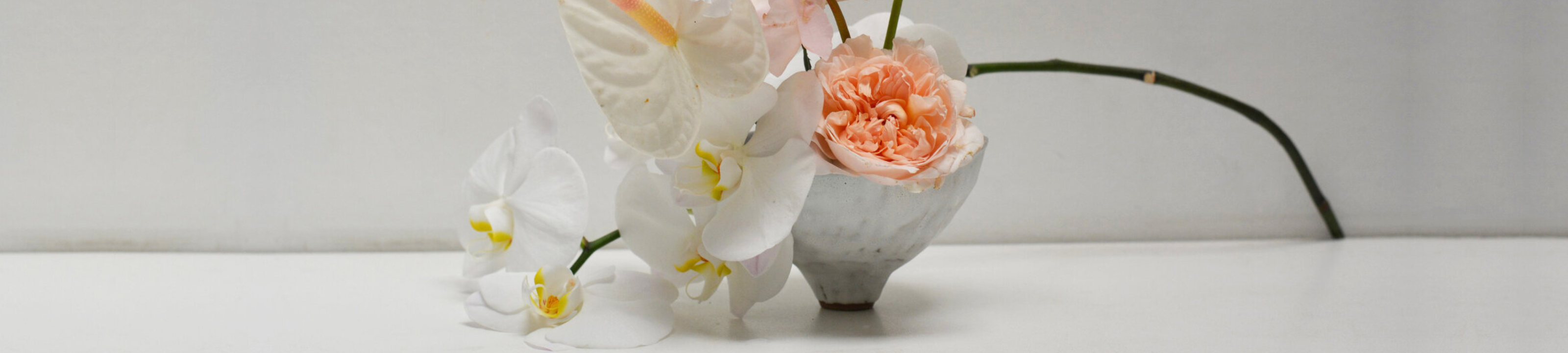 Judith Hammerschlag cover