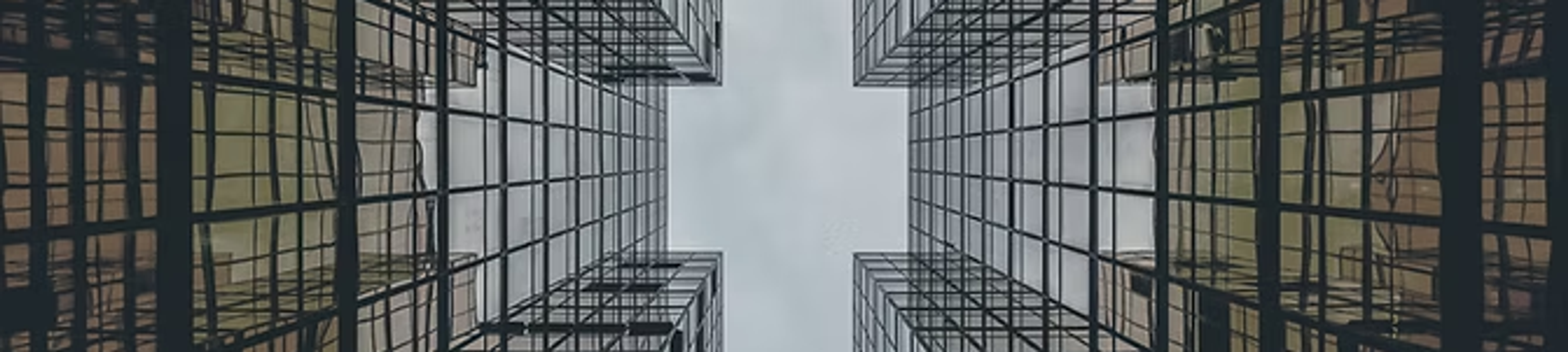 Strauss & Partners cover