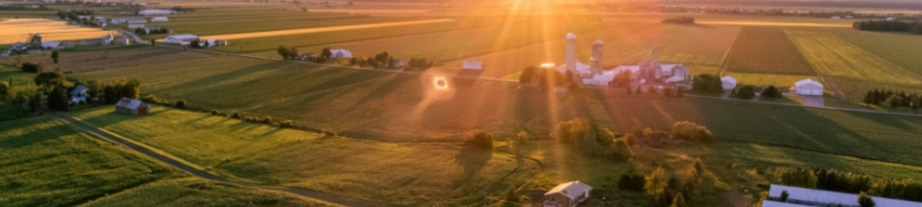 Kelly Kelly Legal cover