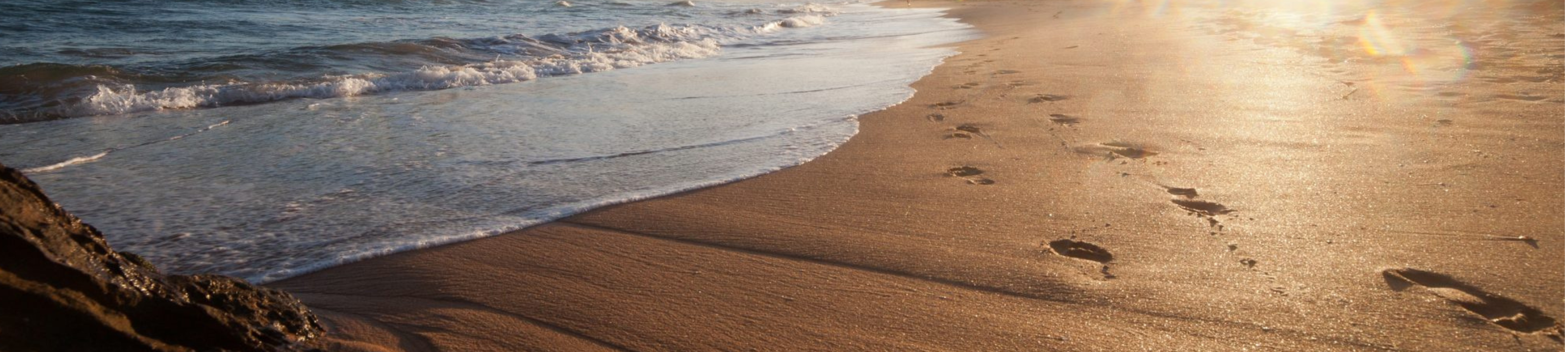 Caitlin Hutchings cover