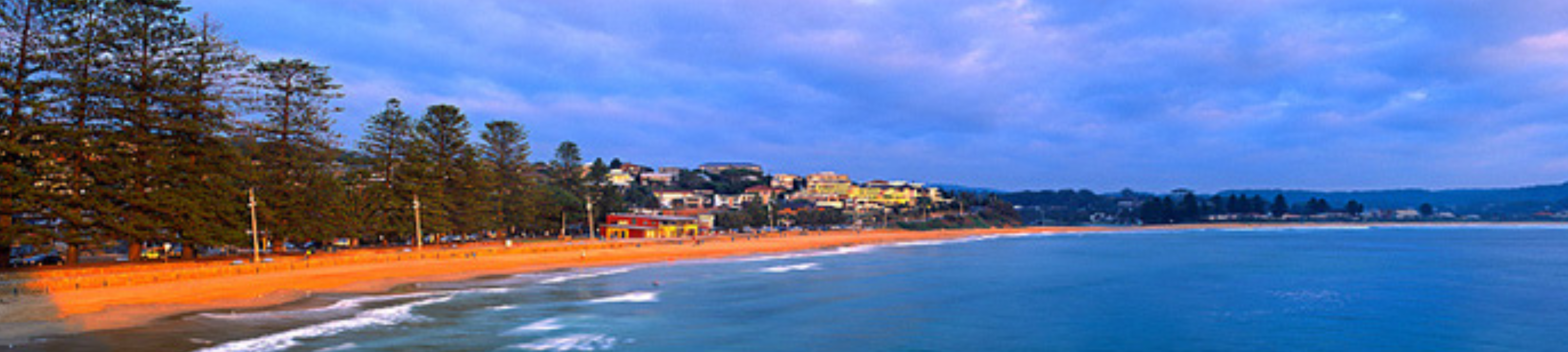 Andrew Mackenzie cover