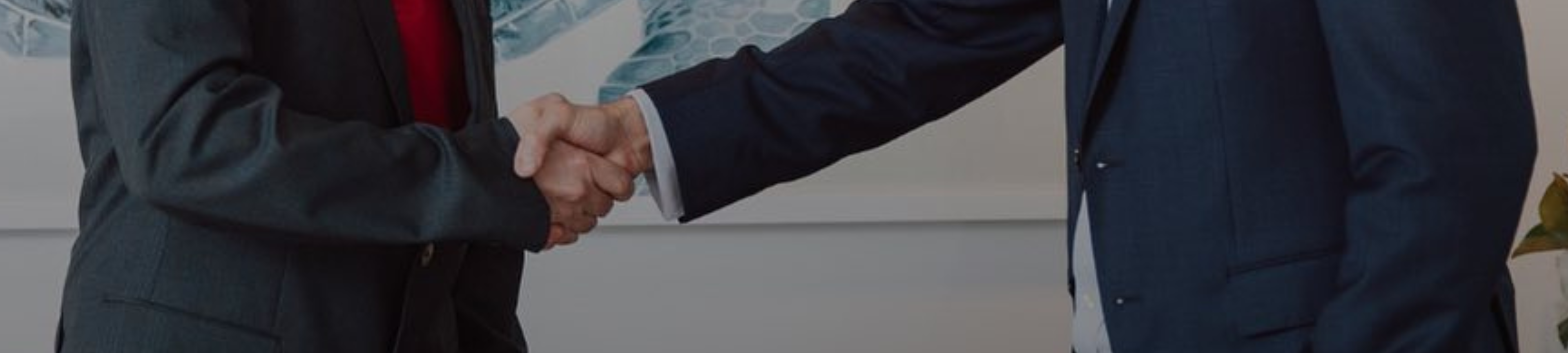 Gemma Sullivan cover