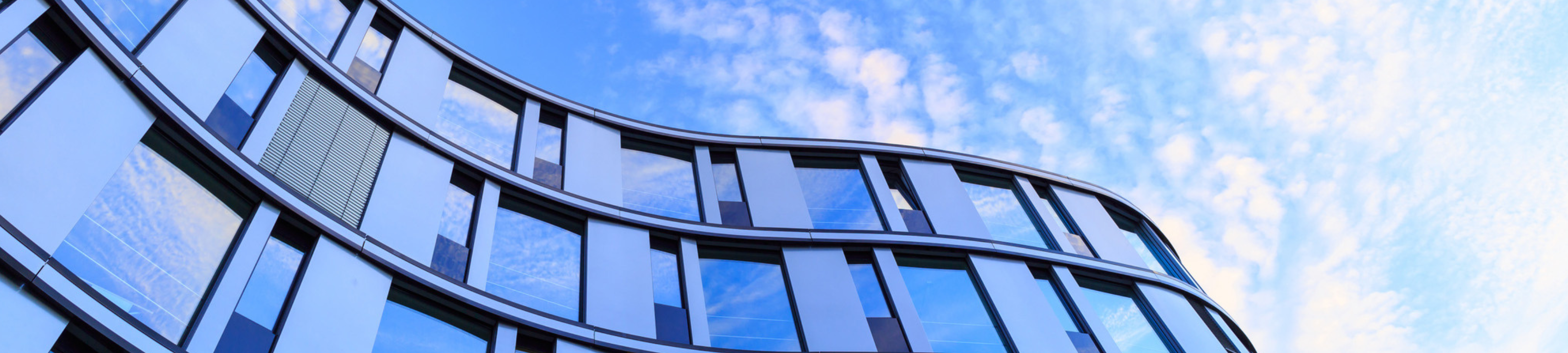 Emerson Lewis Lawyers cover