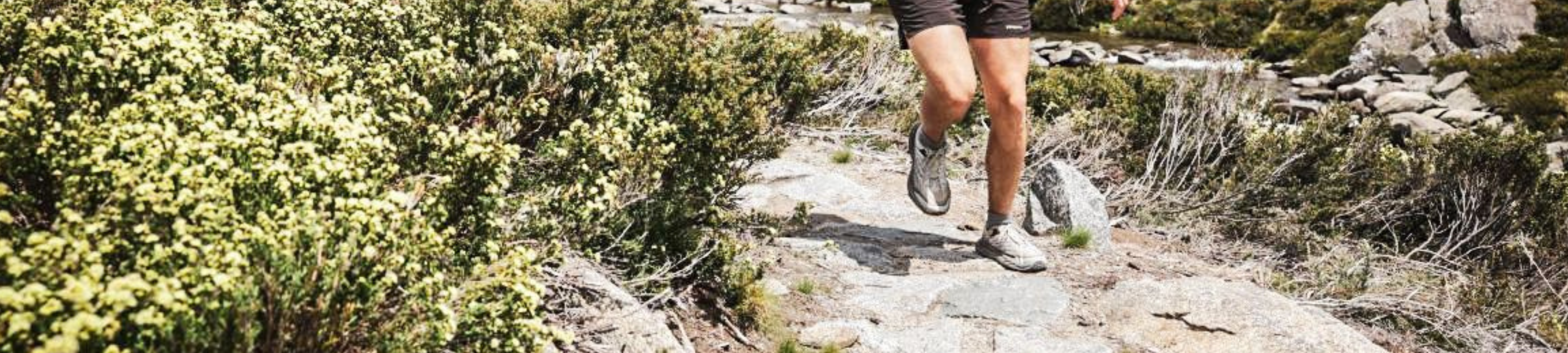 First Step Legal cover